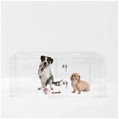 Plexiglass dog outlet crate